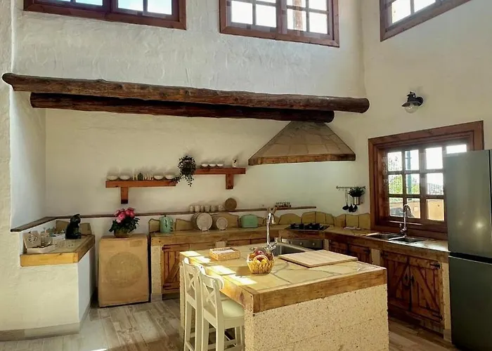 木屋 Casa Del Tanque *